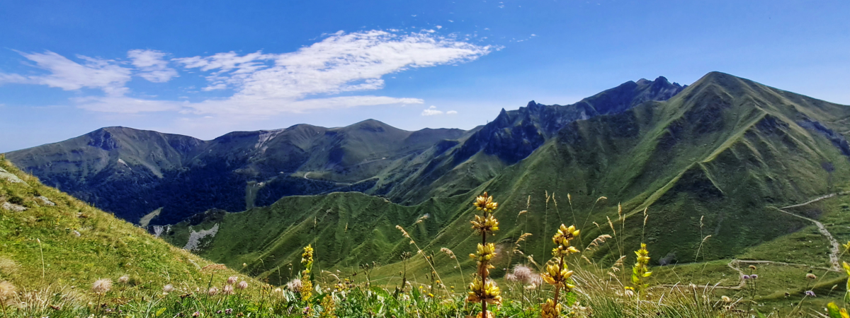 Oliv' du Sancy